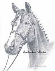 Welshhoefs Rianne / Rianne